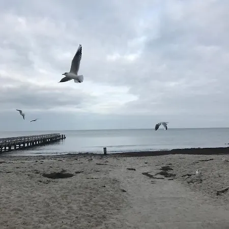 Apartamento Seestrasse 67 *